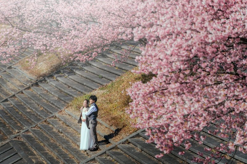 先着20組・伊豆 河津桜【選べる2箇所】和装&洋装ロケーション