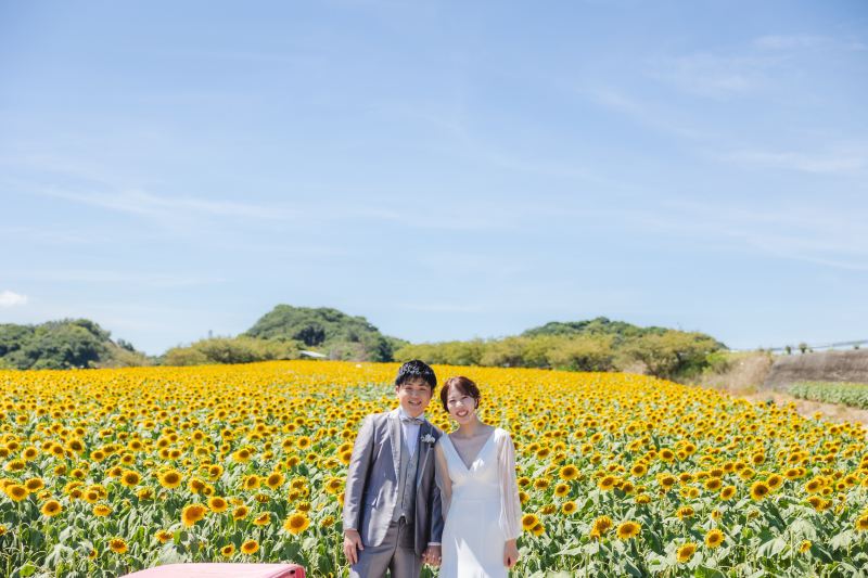 【期間限定！ひまわりとの撮影】花ひろば
