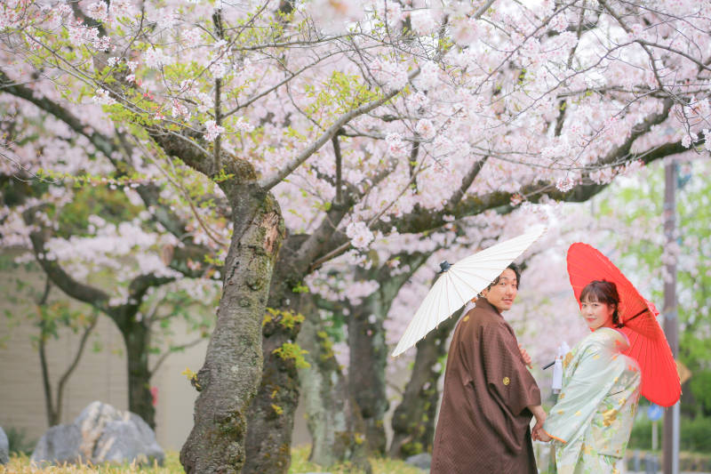 【今なら！シーズン料無料】しっかり200カット以上全データ付きプラン◇壮大な桜ロケーションプラン