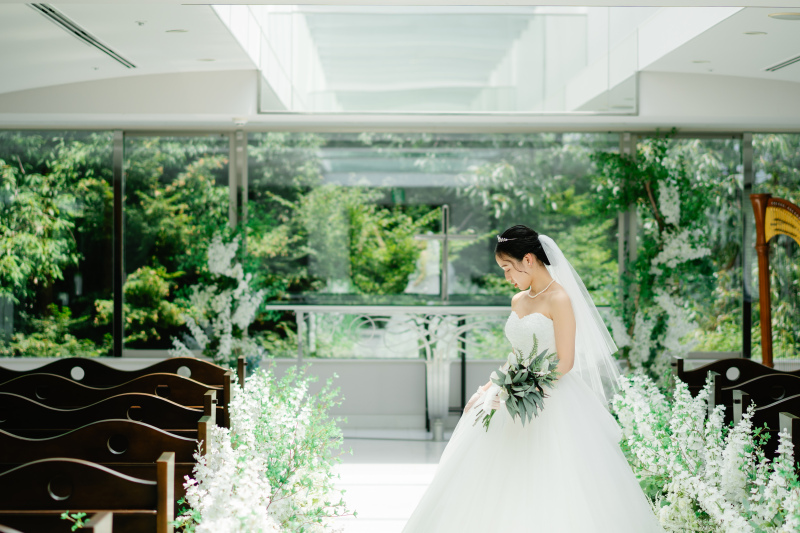 柔らかな日差しのスポットライト