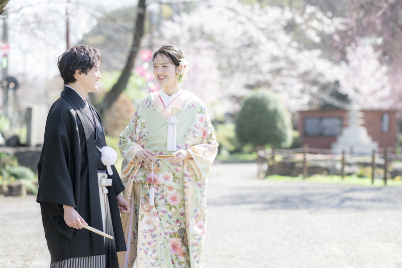 岐阜公園での桜