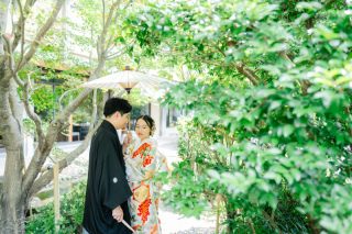 新緑の緑を背景にお写真を