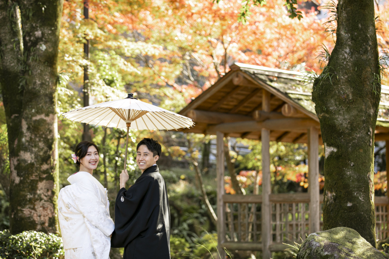 紅葉と緑のコントラストが艶やかな1枚