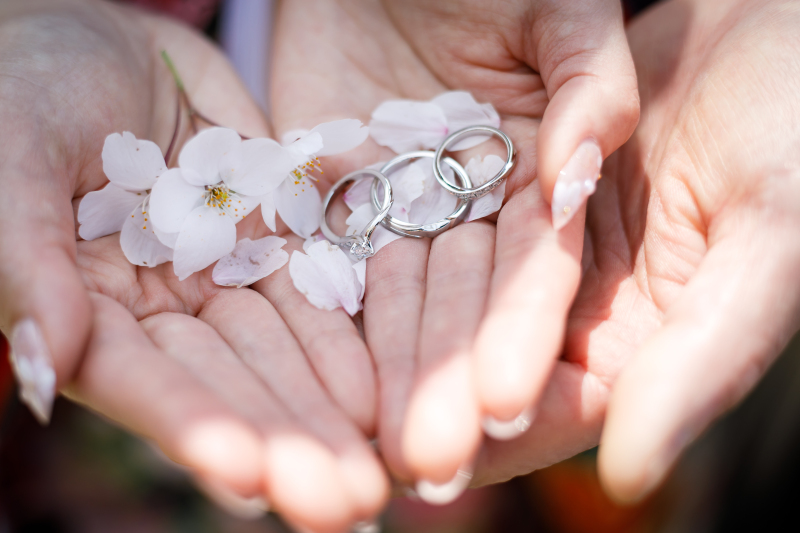 季節感を感じる撮影