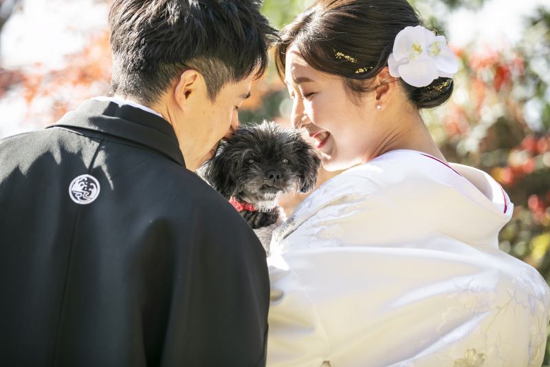 愛犬とも一緒に