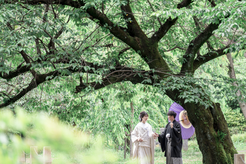 STYLE+岐阜・長良川_庭園で撮影できる