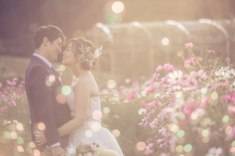 コスモスと木漏れ日が幻想的な雰囲気を引き立たせています