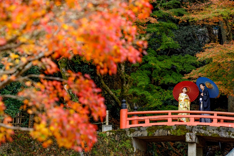 【和装】緑豊かな【岐阜公園】と昔ながらの街並みが残る【河原町】で撮影する贅沢コース