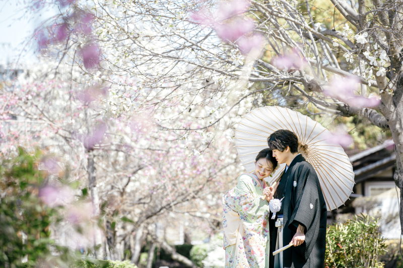 和装【3月23日∼4月5日に撮影される方限定】岐阜公園と日中友好庭園で撮影できる桜プラン