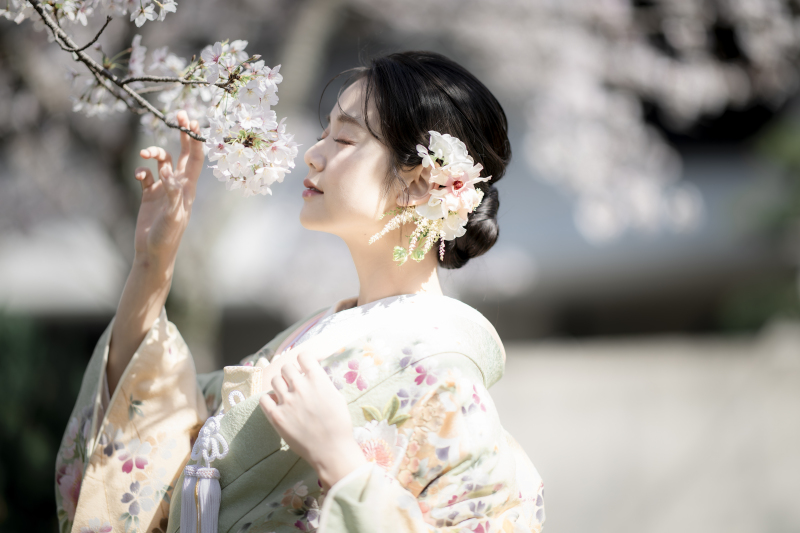和装【3月23日∼4月5日に撮影される方限定】岐阜公園と日中友好庭園で撮影できる桜プラン