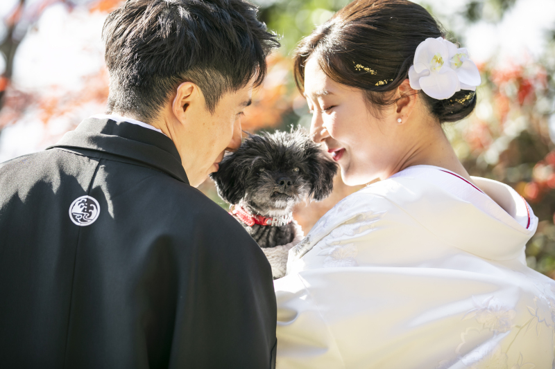 【和洋装】紅葉と秋晴れ愉しむ紅葉ロケーションプラン