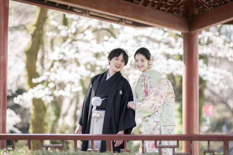 和装【3月23日∼4月5日に撮影される方限定】岐阜公園と日中友好庭園で撮影できる桜プラン