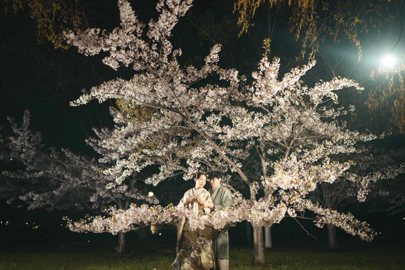 春の夜に出会う夜桜