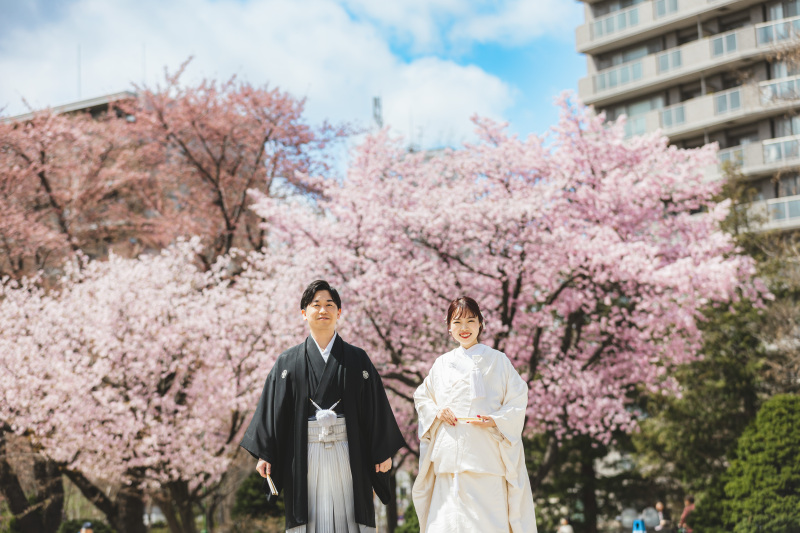 満開の桜と満点の空模様で