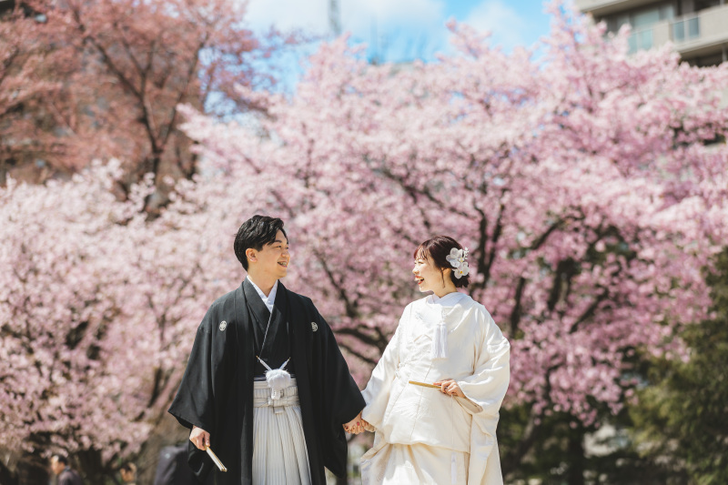 札幌市内桜ロケーション