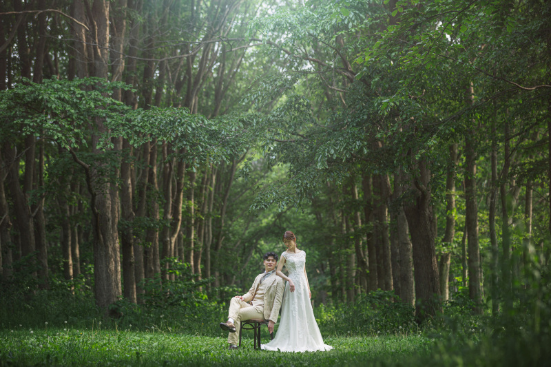 物語のような一枚