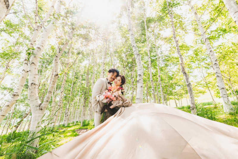 森の中で明るいお写真に