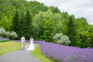 滝野すずらん公園で愛犬と