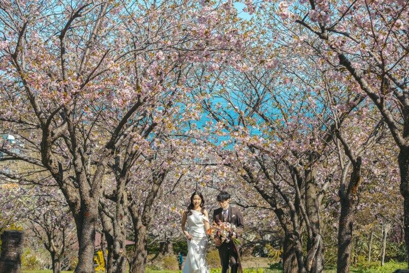 桜のトンネルを抜けて