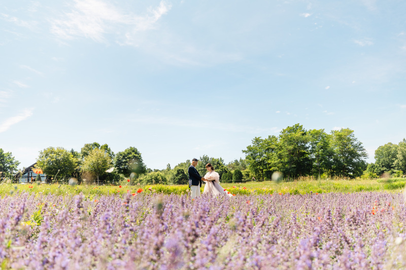 滝野すずらん公園のラベンダー畑
