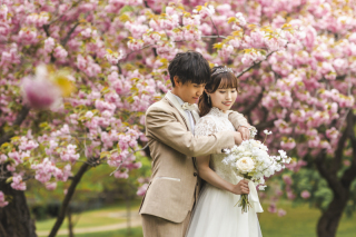 遅咲きの春爛漫