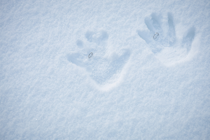雪に残した約束のしるし