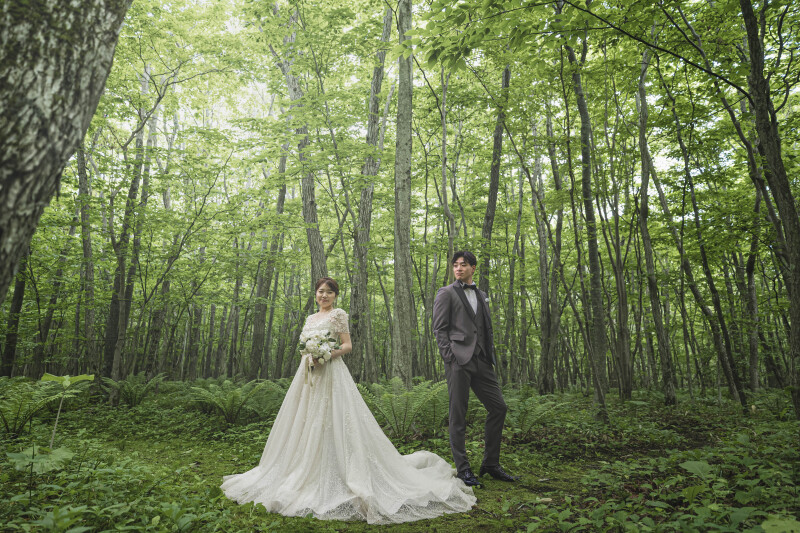 新緑で差し込む光。