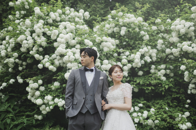 アルバ・メイディランド