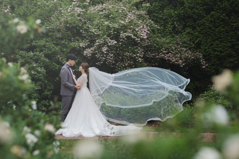 ロマンチックなベールショット