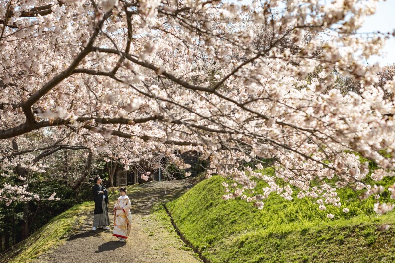 桜並木での一コマ