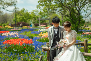 写真の美しさが決め手でした。