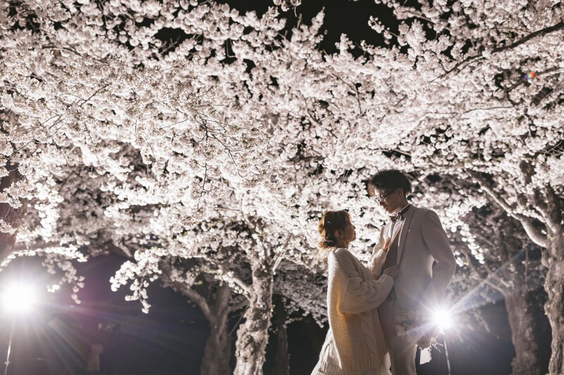 夜桜も綺麗です。