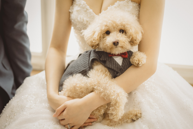 NOBLE JAPAN SAPPORO【ノーブルジャパン札幌】_ペットと一緒に撮影できる