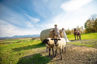 落ち着いた和の空間での一枚