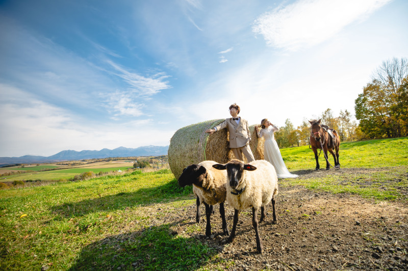 落ち着いた和の空間での一枚