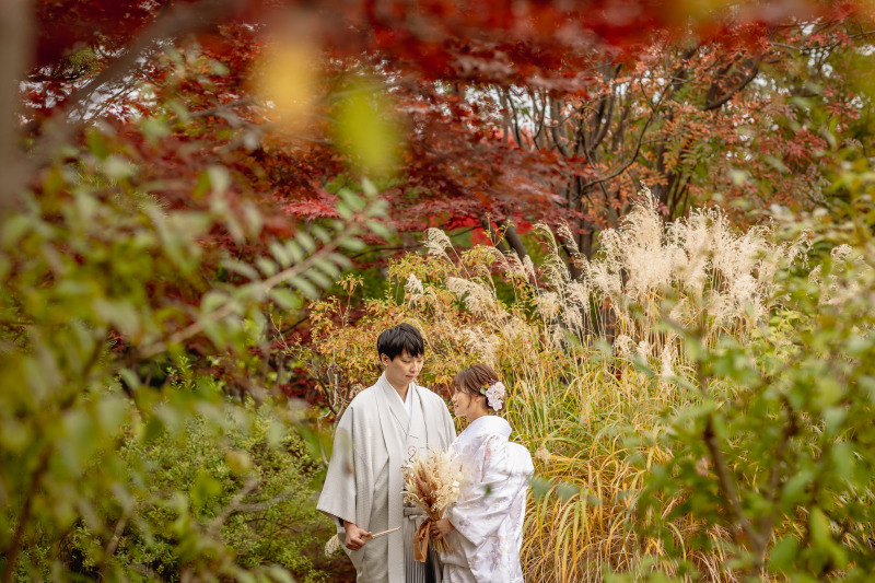 【円山公園or中島公園プラン】洋装or和装2着 撮影データ50カット ※衣装グレードアップなし
