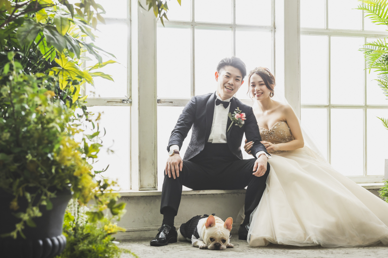 ペットフォトプラン※どのプランでも大切なペットとの撮影追加料金なし! 衣装ランクフリー