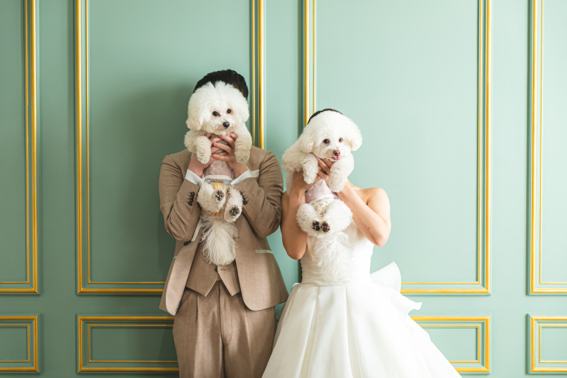 ペットフォトプラン※どのプランでも大切なペットとの撮影追加料金なし! 衣装ランクフリー