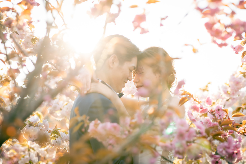 【道内地方都市ロケプラン】 洋装or和装1着 撮影データ250カット ※衣装グレードアップなし