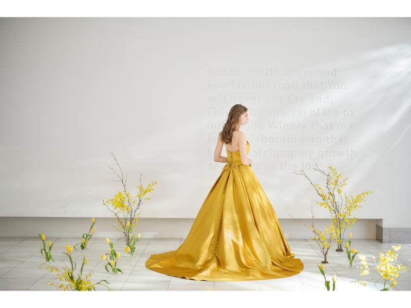 color dress