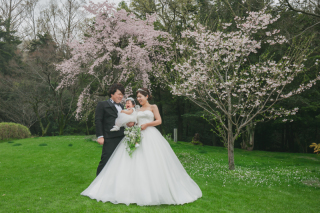 お子様とご一緒に♪桜フォト