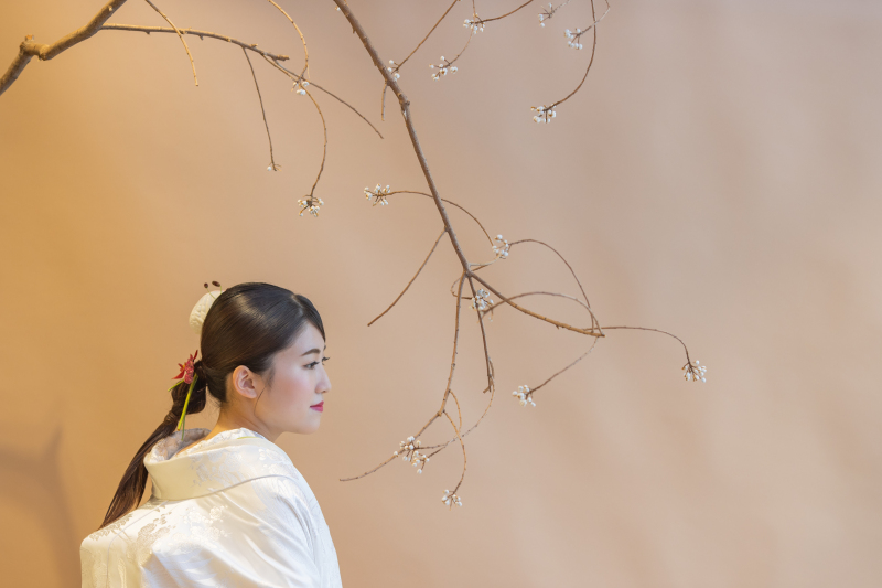 moment_スタジオで撮影できる