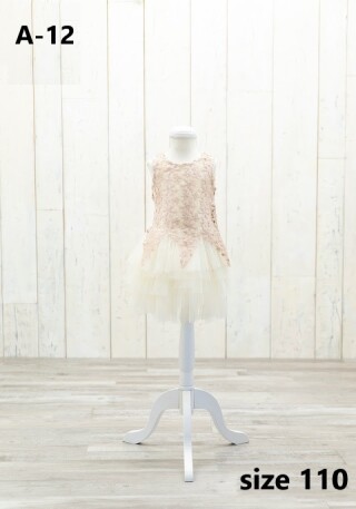 ファミリーフォト女の子ドレスA-12