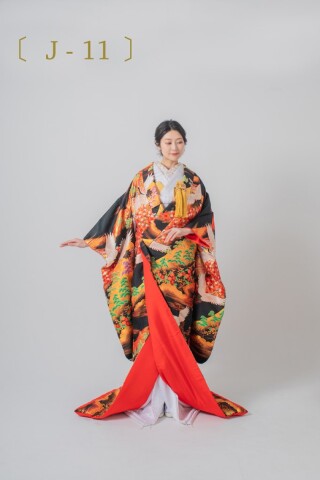 J-11