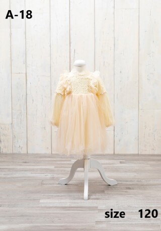 ファミリーフォト女の子ドレスA-18