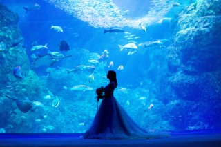 アクアリウムフォトウェディング