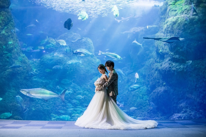 江ノ島水族館で撮影するフォトウェディング