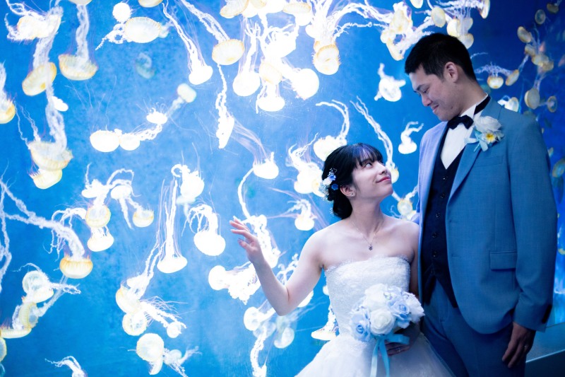 後半は水族館撮影へ