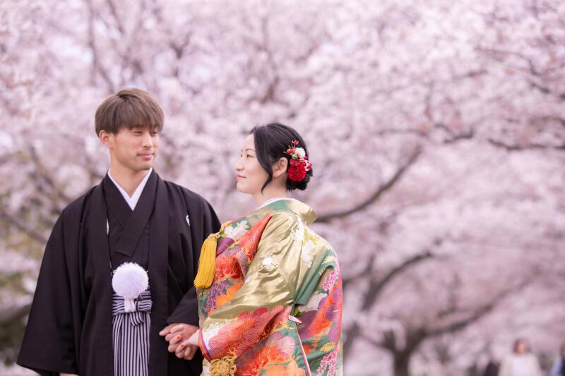 桜の美しさとシンボリズム