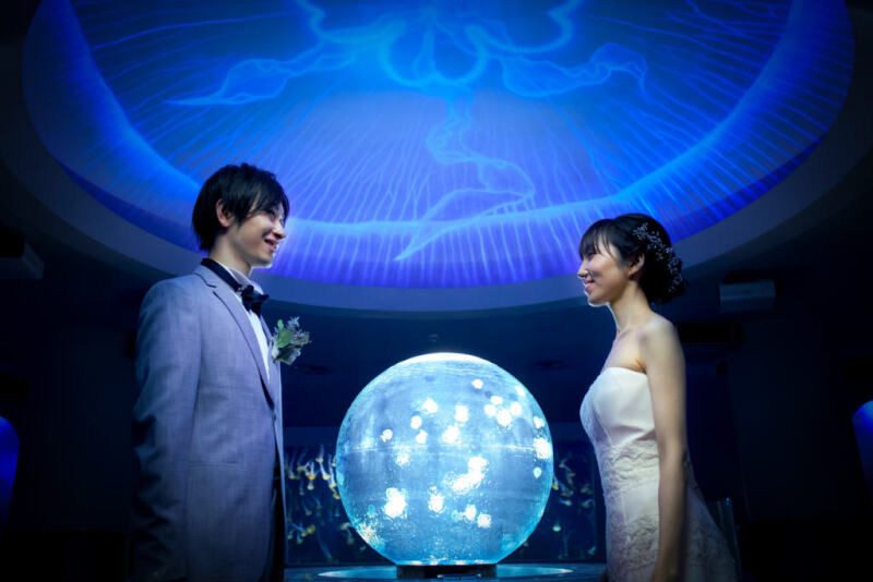 ここはクラゲファンダジー